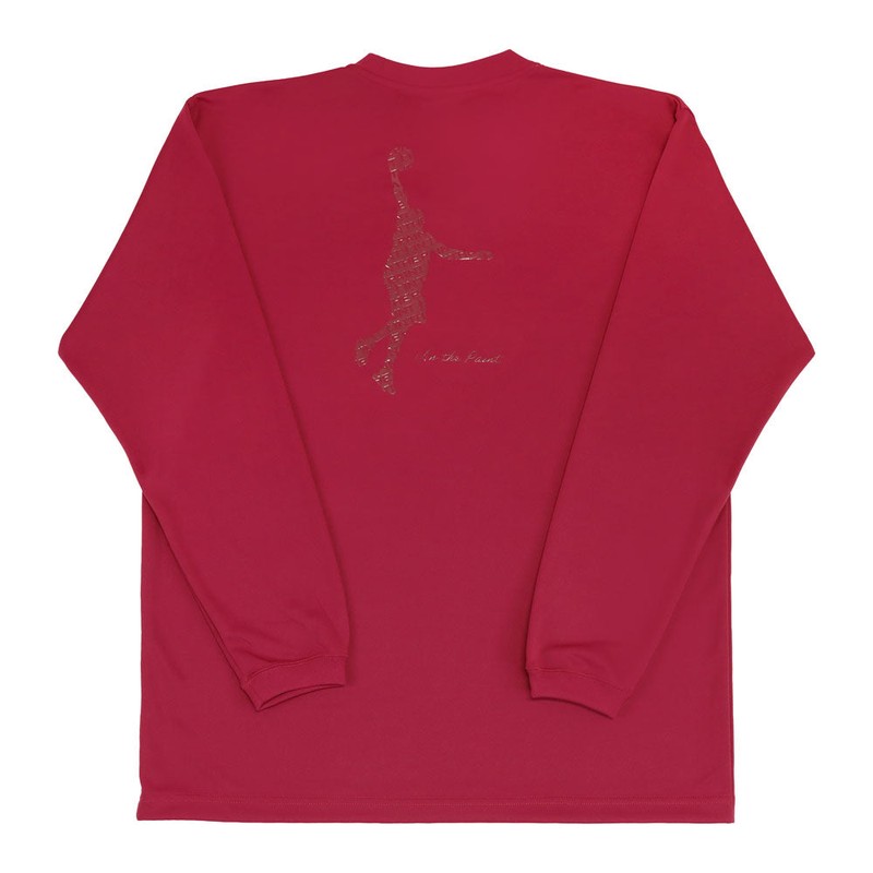 IN THE PAINT LONG SLEEVE SHIRTS インザペイント トリコロール ロング