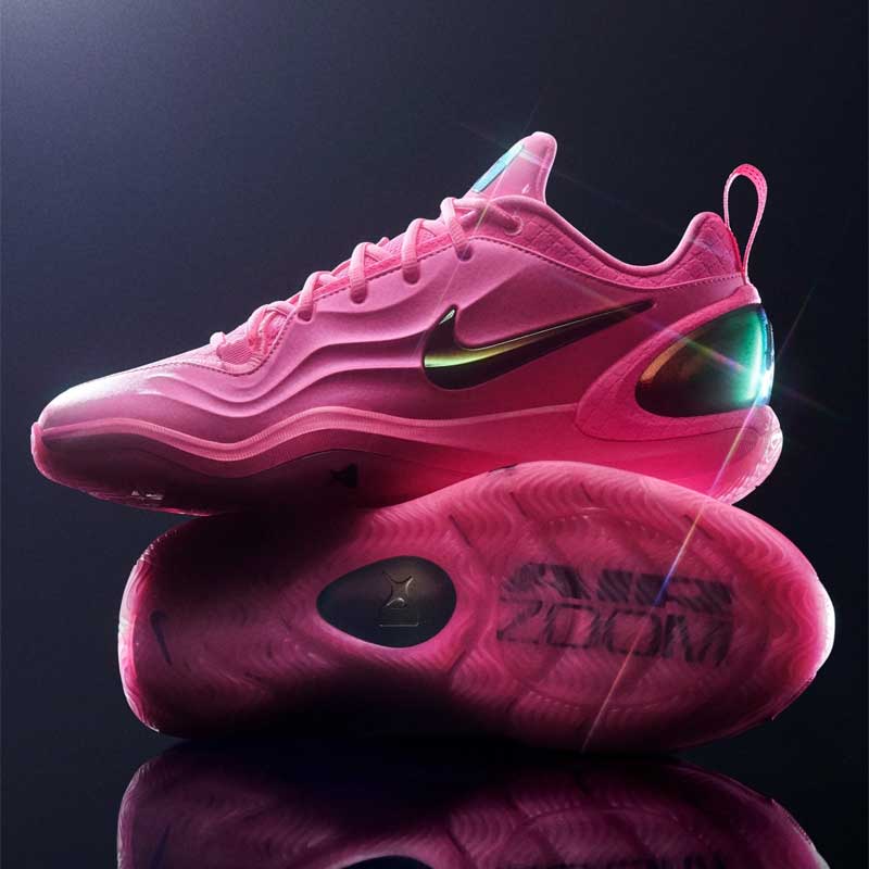[極美品] NIKE バスケットシューズ 25.5 「ROSES」 薔薇 激かわ ナイキ エートゥー EP NIKE A'Two EP IH1136-600 ウィメンズ
