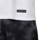 �����å��� �ɥ饤 ����ե��å� ���硼�ȥ��꡼�֥���� DRY GRAPHIC SHORT SLEEVE SHIRT ��˥��å��� ���˥󥰥����� 2026SS wasm(2033c038100)