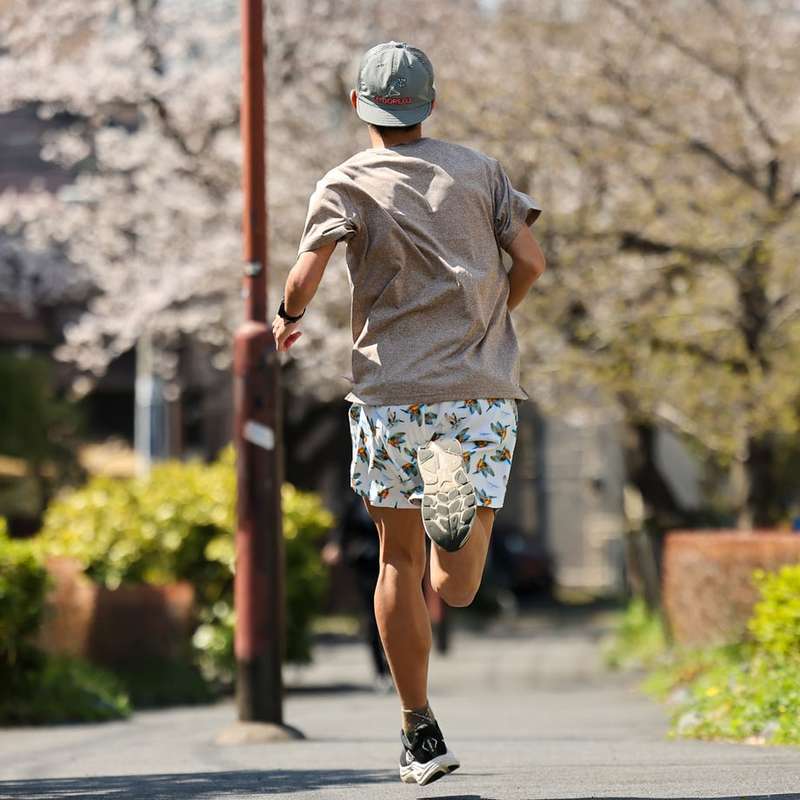 エルドレッソ　ベンチレーション　シャツ 楽天市場】ベンチレーションシャツの通販