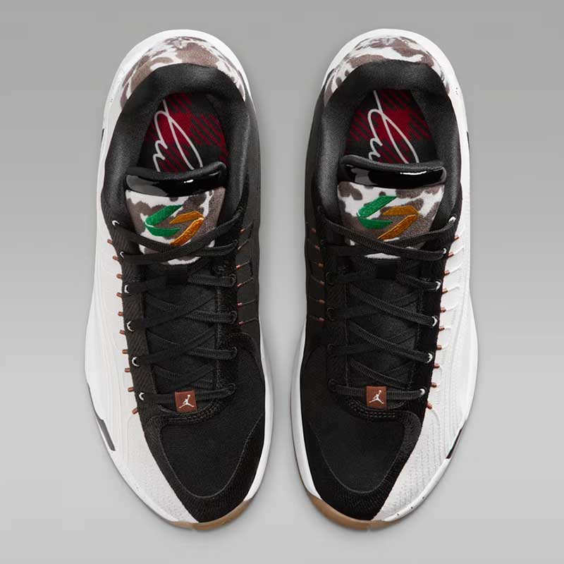 ジョーダン ルカ 4 Gone Ranching PF IB7904-100 メンズ