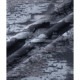 ��ͥå��� ��� �����ॷ��� Ⱦµ T����� �饱�åȥ��ݡ��� 26fwyn(10749007)