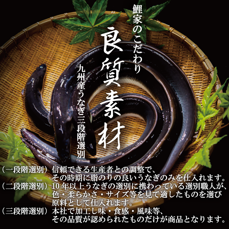 ����ȥ��󤦤ʤ����䳫�ϵ�ǰ������ۥץ�ߥ�����ȥ��󤦤ʤ�����  ��210g��234g�ˡ�2�������ե�Ȣ�ա��������졦��ܥ�դ�������̵��