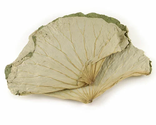 徳用】蓮の葉 1kg｜ふかひれ姿煮と中華食材・中華総菜の専門店「日本橋