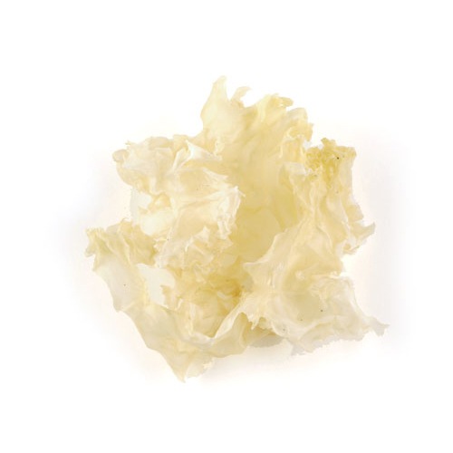 �ʾﲹ�����ڼ����򤭤��餲��50g