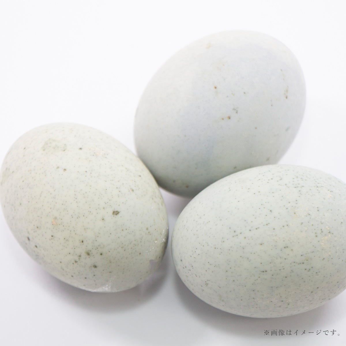 �ʾﲹ�����Ѿ��������ʥ��祦���ԡ������ 6��