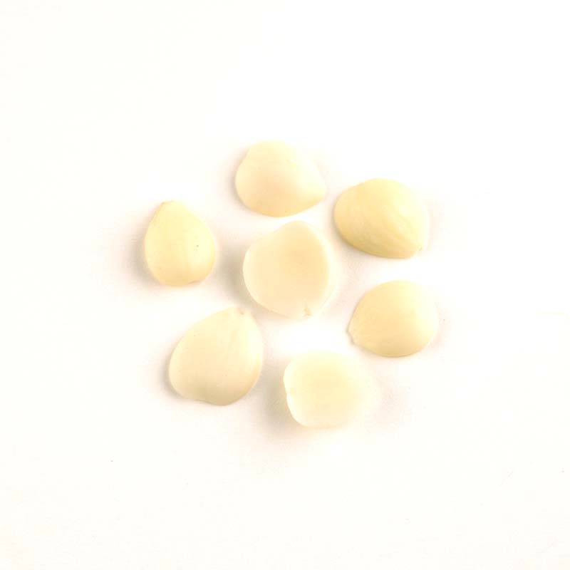 �ʾﲹ����ɡʥʥ󥭥祦�ˡ�150g / 1kg