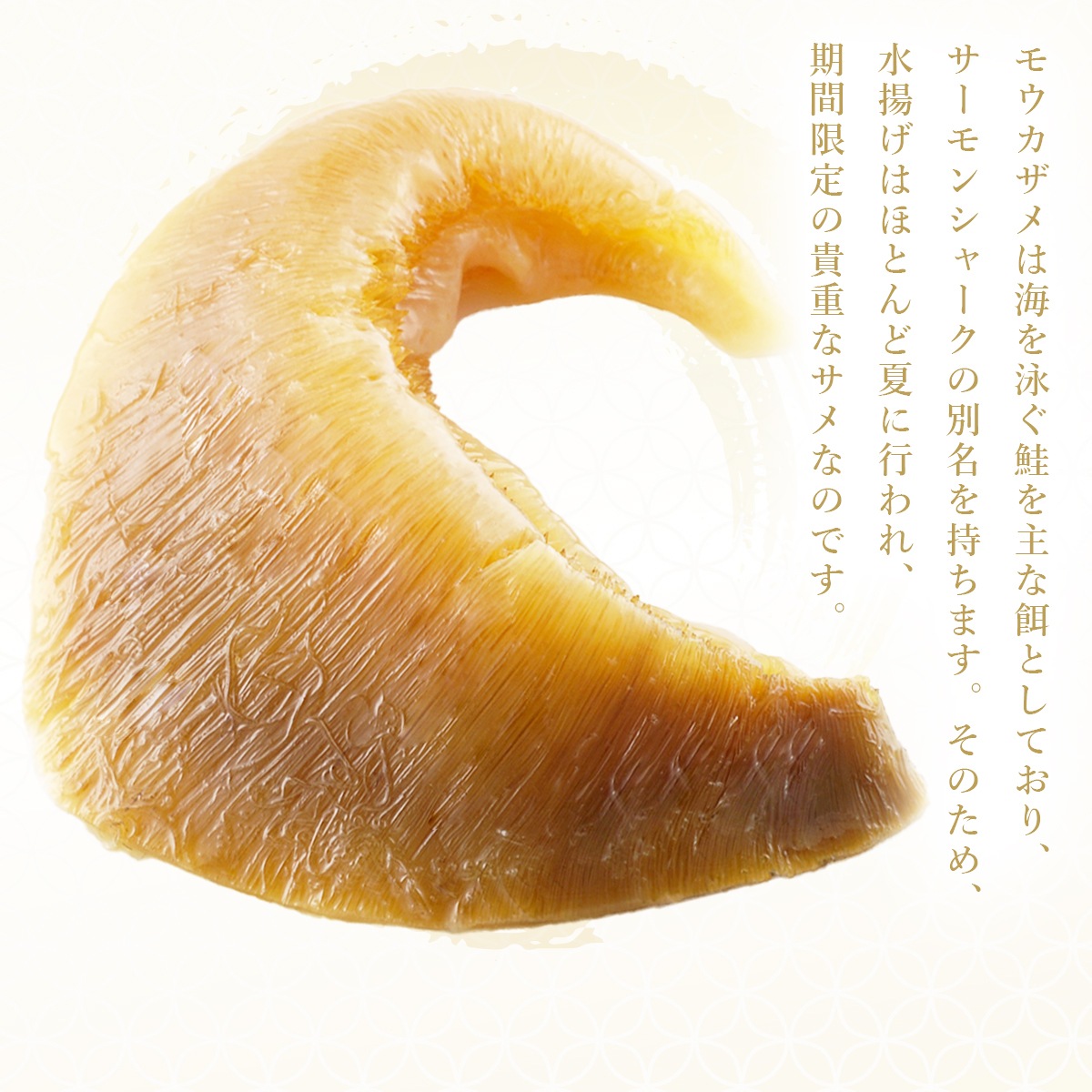 �ʾﲹ�ˡڲ���Ȣ����ۥ⥦������դ��Ҥ�Ѽѡ����Ӥ��1��ڼѹ����ѥ������ա�