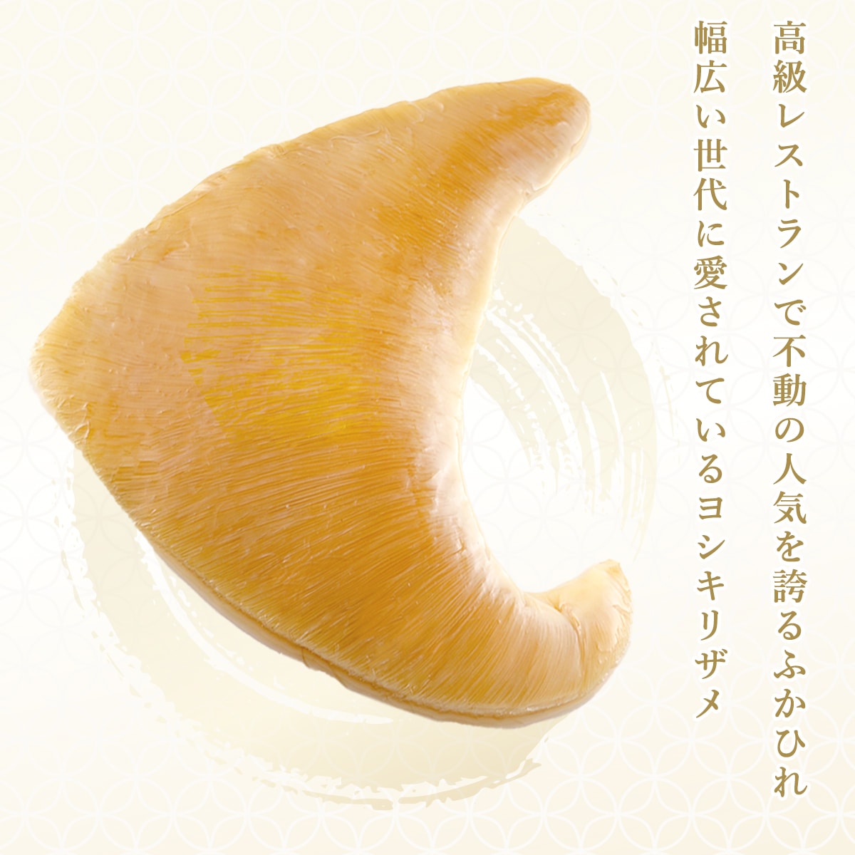 �ʾﲹ�ˡڲ���Ȣ����ۥ襷���ꥶ��դ��Ҥ�Ѽѡ����Ӥ��1��ڼѹ����ѥ������ա�