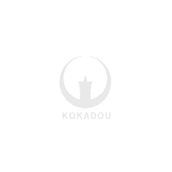 【夏用・紗】【西：浄土真宗本願寺派】布袍(ふほう) 黒のみ 男性用3サイズ：165/170/175cm用 改良衣/改良服/略装衣 