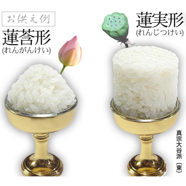 仏飯器 オトシ付 真鍮ミガキ(フッ素加工)♯10 直径4.8cm×高さ6cm×底径