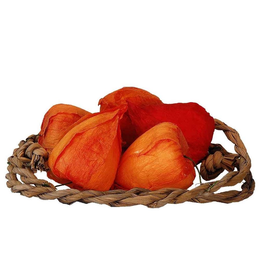 M○自社配送限定希少☞イギリス製☜アンティーク無垢キュリオケース