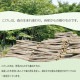 猫 と 兜 黄色 【 丸 こけし 】 端午の節句 五月人形 コンパクト おしゃれ 木製 5月人形 こどもの日 インテリア 兜 モダン 鎧兜 鎧飾り 子供大将 子供の日 プレゼント ギフト 日本製 伝統工芸品 おうち時間 願い 暮らし stayhome 癒し 置物 グッズ 贈り物 ネコ