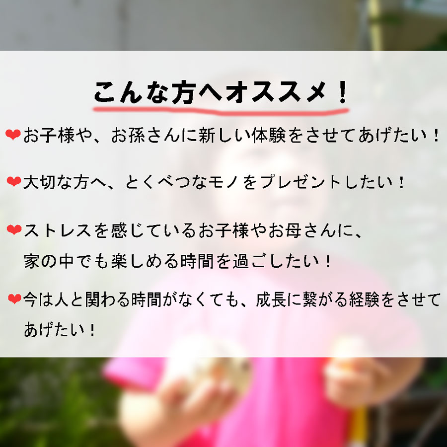 こけし 絵付け 【木地】3個セット ぬり絵 オリジナル 体験 お守り 母の日 プレゼント ギフト かわいい おうち時間　願い　暮らし stayhome 癒し インテリア 木製 日本製 伝統工芸品 父の日 おうち体験 子供 お家でできる