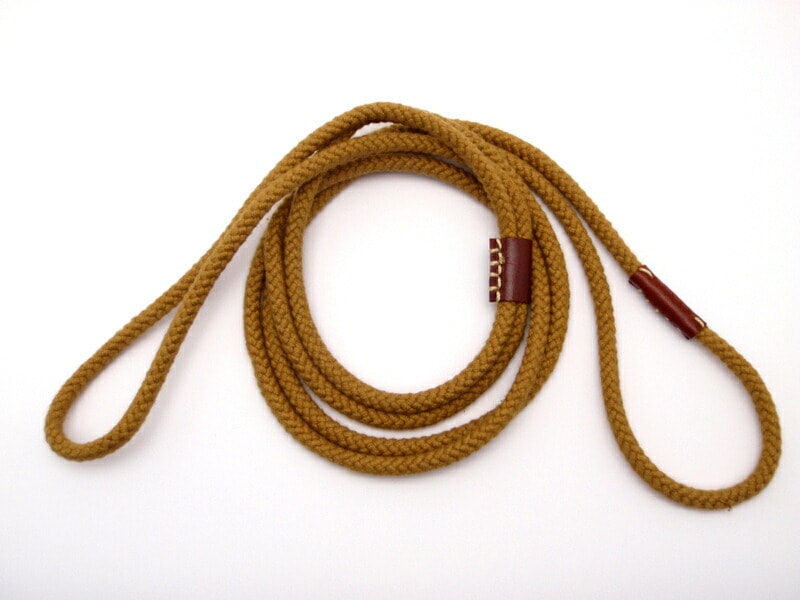 HWS �ϡ��ȥե����� �����ܷ������� ��˥�����䡼�� ����ɳ