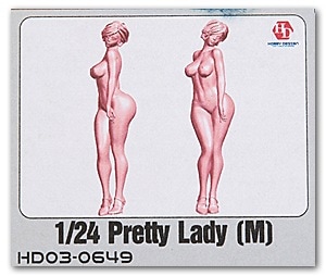 �ۥӡ��ǥ����� HOBBY DESIGN   1/24 �ץ�ƥ� ��ǥ� M �쥸���� �ե����奢 ���å� ��ư���Ϸ� (hd03-0649)
