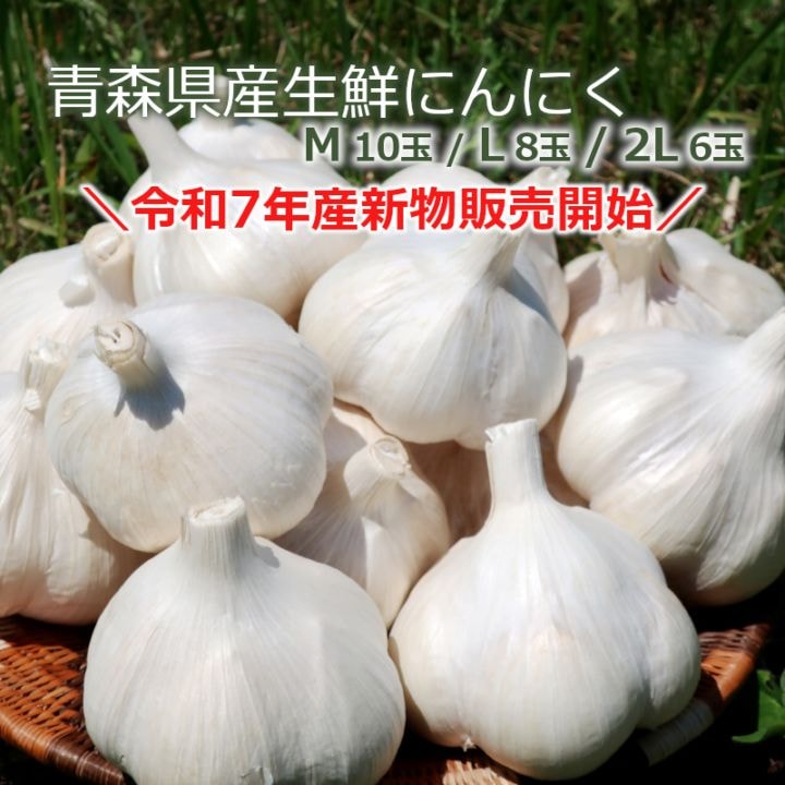 令和7年　青森県　生にんにく10Kg ML 楽天市場】【令和7年産新物】青森県産 生にんにく Lサイズ 1kg