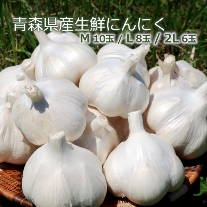 青森県産にんにく（生鮮） 約500g入り｜食品とキッチン＆ダイニング