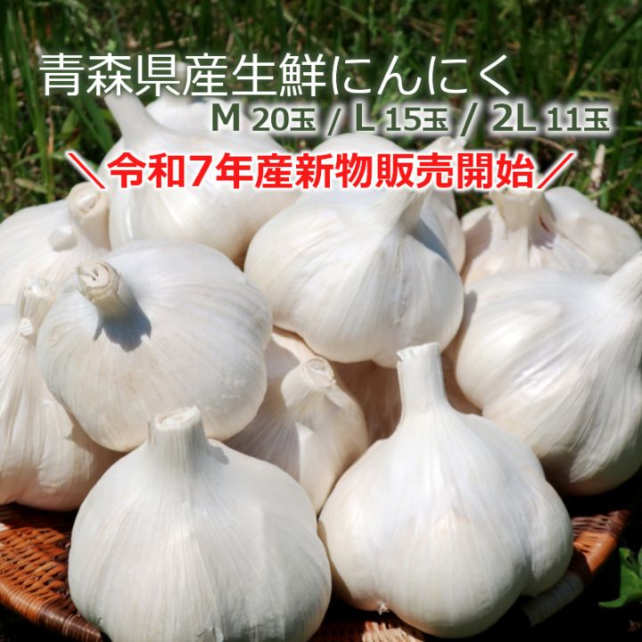 青森県産 半乾燥にんにく 新物 新物 青森県産 訳あり にんにく バラ 500g ホワイト六片 家庭用