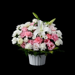 ˡ�����֡��Υƥ����ȡ�