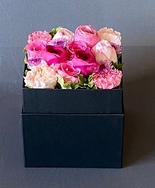 եåեBOXӥӥåȥԥ󥯡ԥ