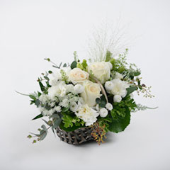 ��ϡ�����6�󥳡���