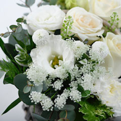 ��ϡ�����6�󥳡���