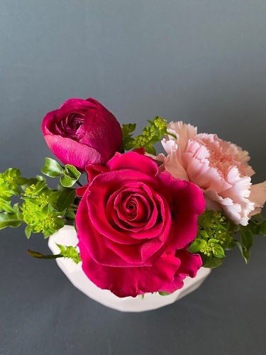 �Х�󥿥���ե������ϡ��ȷ��ݥåȤΡ������襤������󥸥��ȡ��ˎގˎގ��Ďˎߎݎ�&�ˎߎݎ�����SMALL��