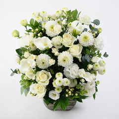 ��ϡ���̯3�󥳡���