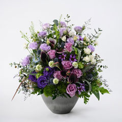 �ǥ��ƥˡ�3�󥳡���