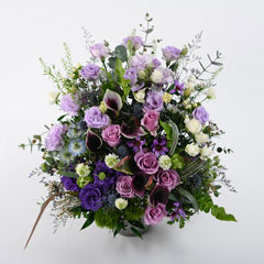 �ǥ��ƥˡ�12�󥳡���