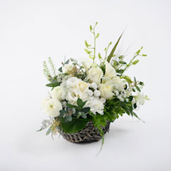 ��ϡ��򼧡��¥ƥ��������֡�