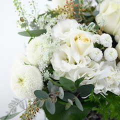 ��ϡ��򼧡��¥ƥ��������֡�