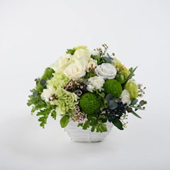 �ե����꡼���Υƥ��������֡�