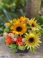 ��������ۤҤޤ�ꥢ��󥸥��� MEDIUM