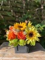 ��������ۤҤޤ�ꥢ��󥸥��� MEDIUM