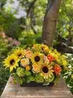 ��������ۤҤޤ�ꥢ��󥸥��� LARGE