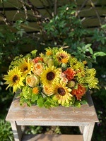 ��������ۤҤޤ�ꥢ��󥸥��� LARGE