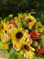 ��������ۤҤޤ�ꥢ��󥸥��� LARGE