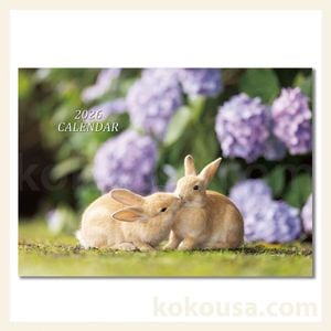 大久野島うさぎカレンダー2026年度の通販はココロのおうち