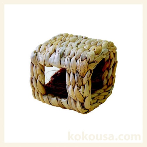 バナナde おうち