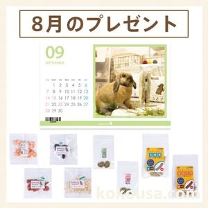 魔法のスティック小動物用の通販はココロのおうち