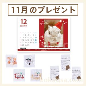 アニマストラス(顆粒)400gの通販はココロのおうち