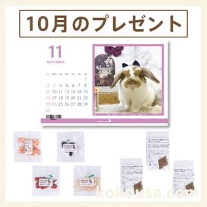 アニマストラス(顆粒)100gの通販はココロのおうち