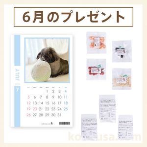 Doラビットフードの通販はココロのおうち