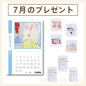 bunnyNATURE バニーネイチャー ラビットドリーム バイタリティ 1.5kgの