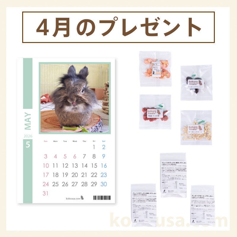 今月のプレゼント