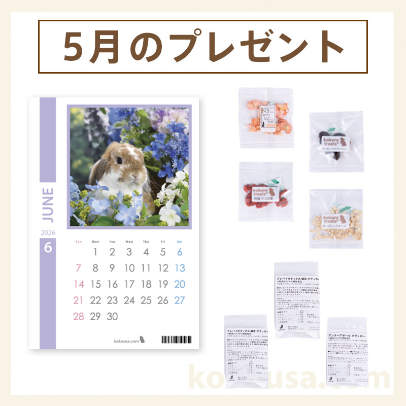 今月のプレゼント