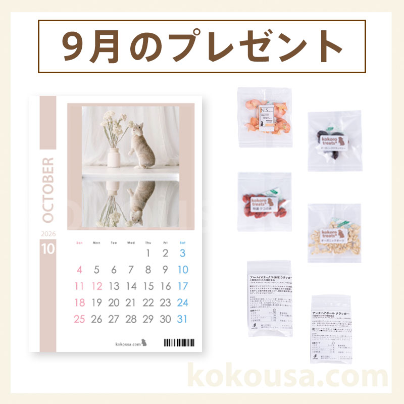 今月のプレゼント