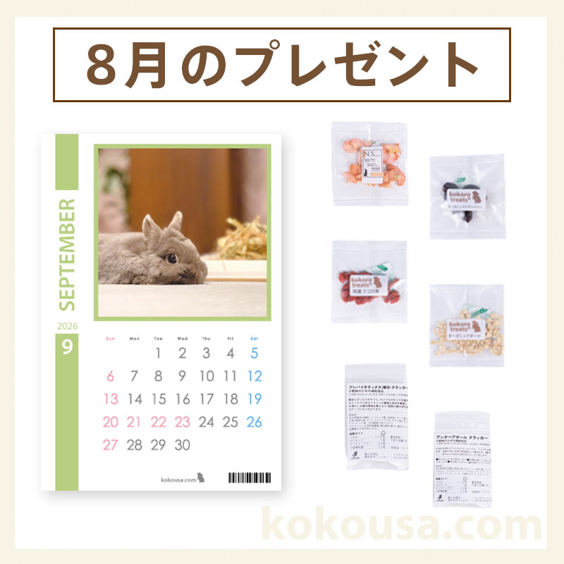今月のプレゼント
